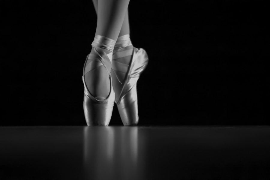Dancing with the Stars Season Premeire Recap