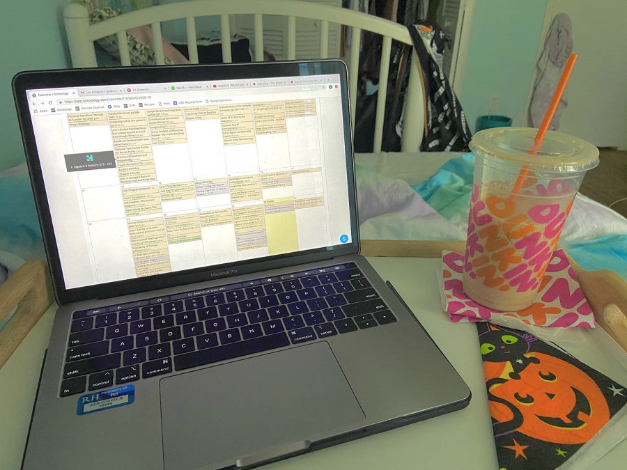 I do distance learning from my computer, with a treat to keep me company.