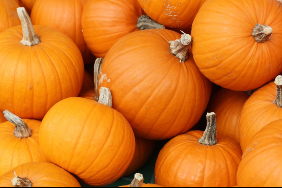 Pumpkin themed flavors take over this autumn. 