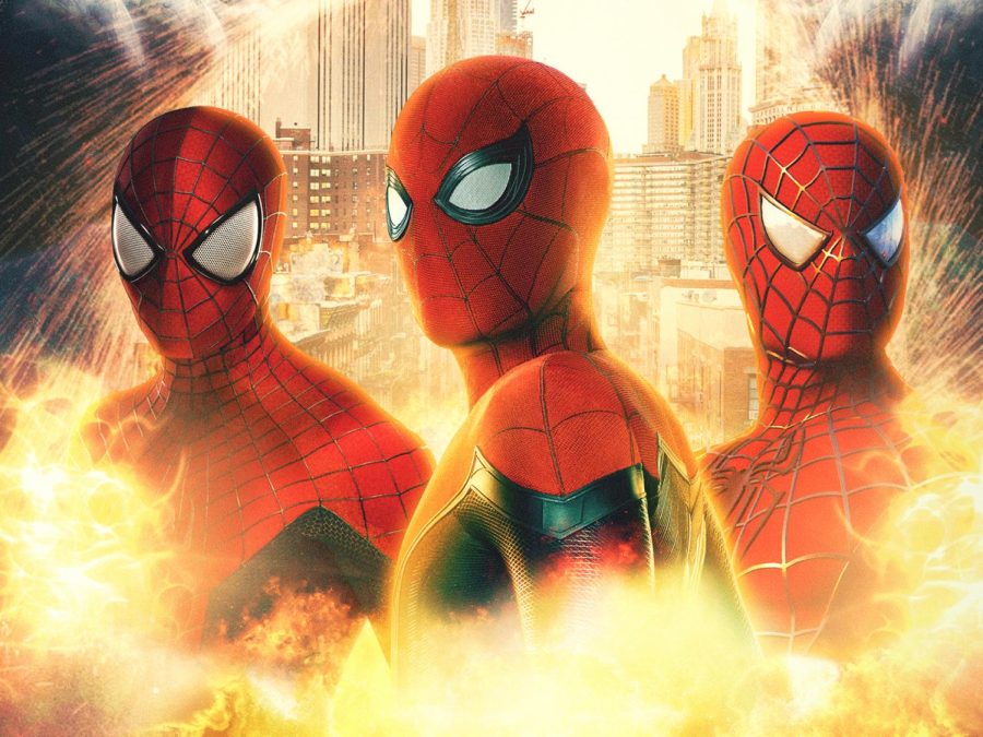 Superior Spider