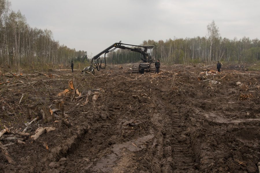 Deforestation occurring by mankind (Photo courtesy of Creative Commons).